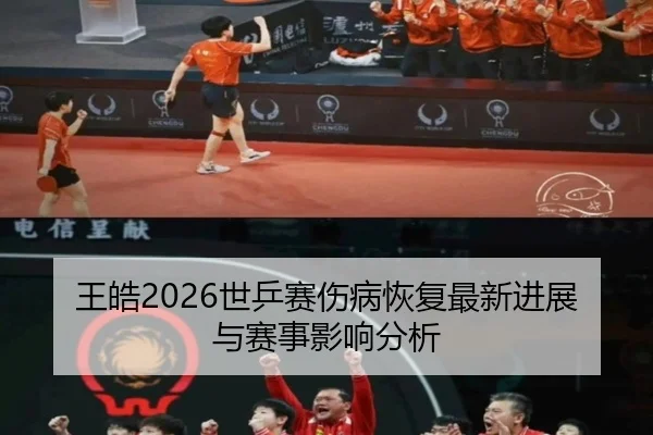 wang-hao-shi-ping-sai-shang-bing-hui-fu-zui-xin-jin-zhan-yu-sai-shi-ying-xiang-fen-xi-2-744.jpg